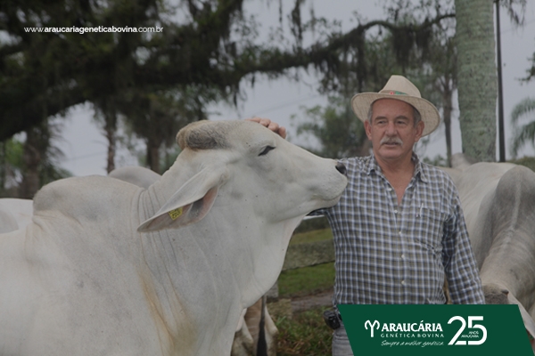 4 hábitos de sucesso do pecuarista – Por Amanda Radke