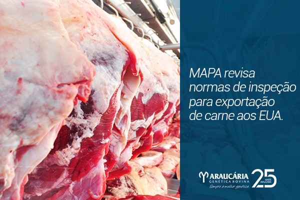MAPA revisa normas de inspeção para exportação de carne aos EUA