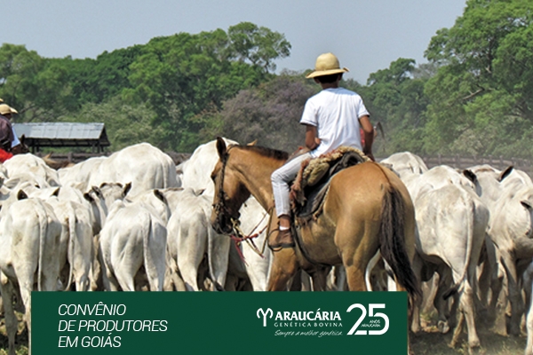 Convênio de produtores em Goiás