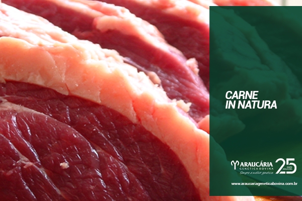 Carne in natura: exportação média diária sobe 29% em julho