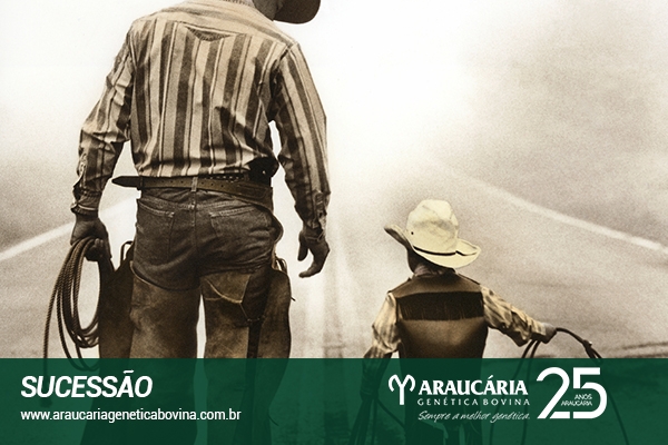 Preparando a governança e a sucessão nas empresas rurais familiares