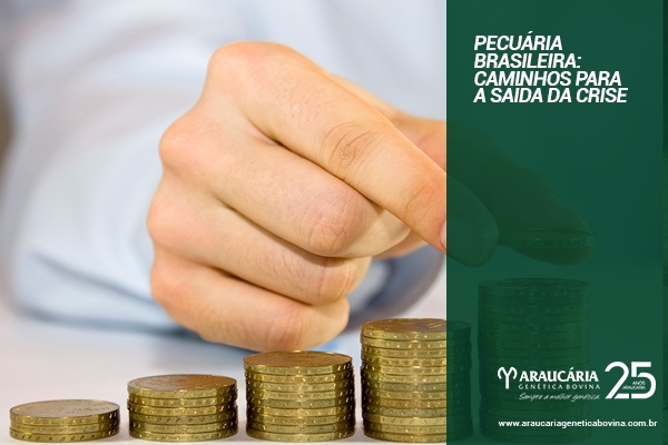 Pecuária brasileira: caminhos para a saída da crise