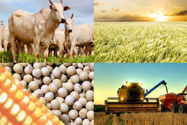 Agronegócio sofre com falta de definições e de crédito