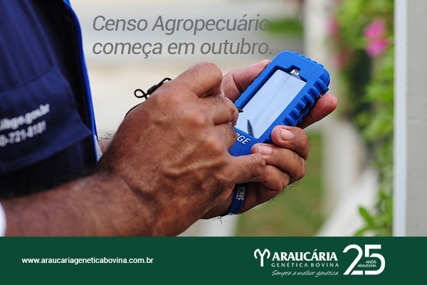 Censo agropecuário começa em outubro