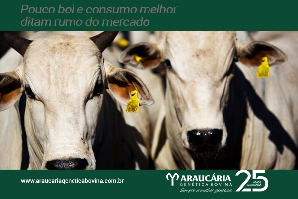 Pouco boi e consumo melhor ditam rumo do mercado 