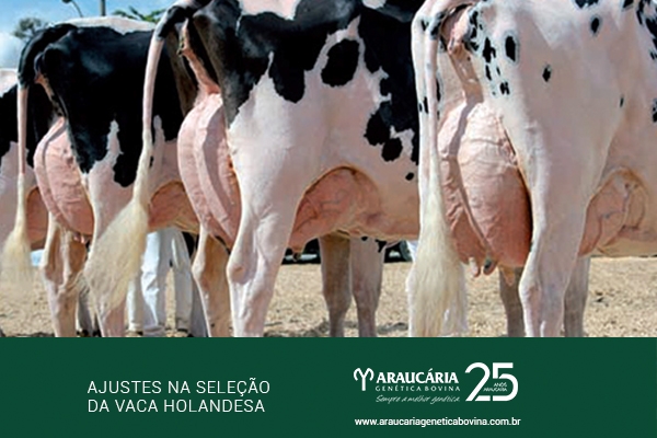 Ajustes na seleção da vaca holandesa 