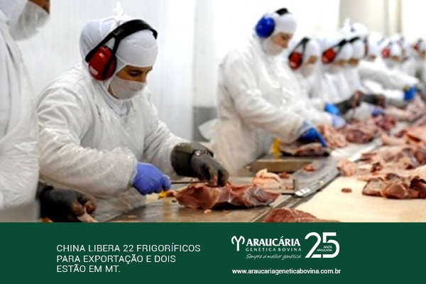 China libera 22 frigoríficos para exportação e dois estão em MT; plantas podem gerar U$ 1 bi ao ano