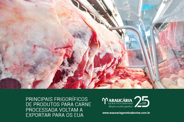 Principais frigoríficos de produtos para carne processada voltam a exportar para os EUA