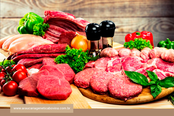 Revisões científicas examinam o papel da carne em uma dieta saudável