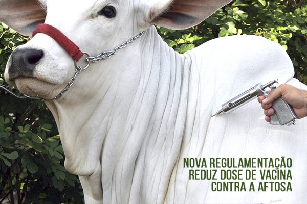 Nova regulamentação reduz dose de vacina contra a aftosa