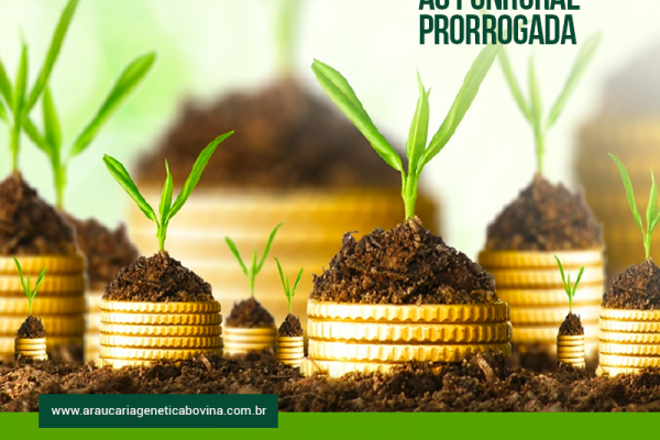 Governo deve prorrogar prazo de adesão ao Funrural