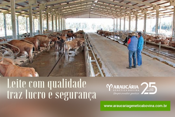 Leite com qualidade traz lucro e segurança