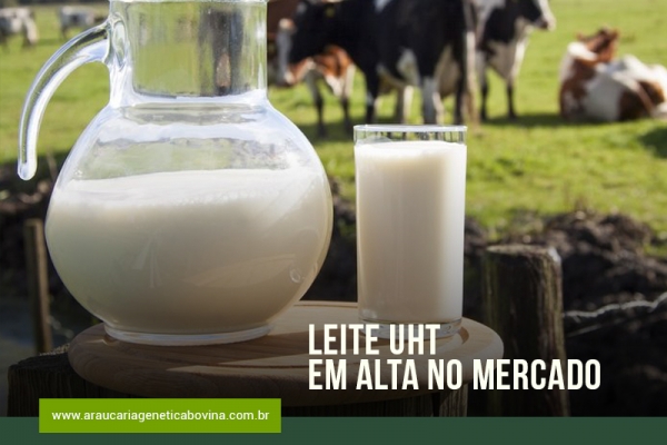 Leite UHT em alta no mercado