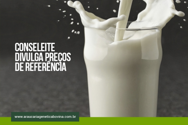 SC: Conseleite divulga preços de referência e valor do leite padrão aumenta 7%
