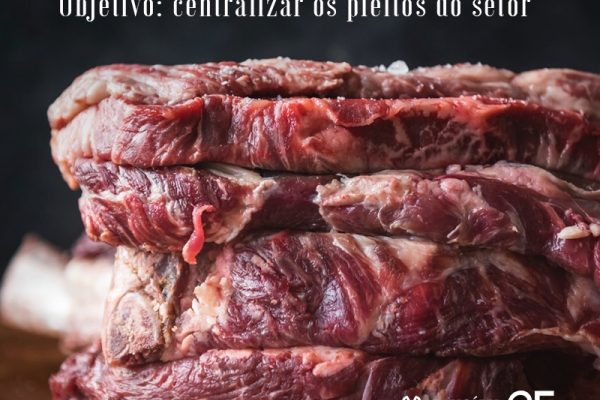 Tereza Cristina anuncia que criará câmara setorial de carnes
