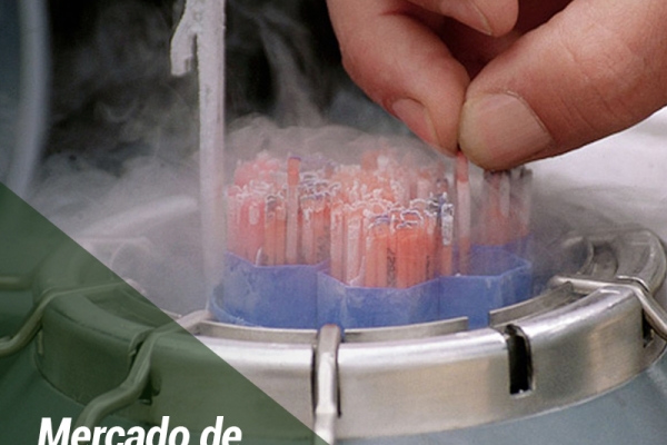 Mercado de inseminação em tempo fixo (IATF) cresceu 16%