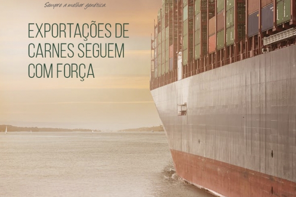 Exportações de carnes seguem com força