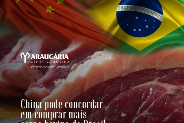 China pode concordar em comprar mais carne bovina do Brasil, diz embaixador