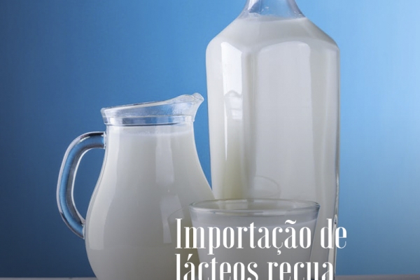Importação de lácteos recua; câmbio favorece exportação