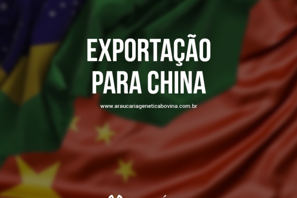 Brasil tem expectativa de habilitar 78 frigoríficos para a China