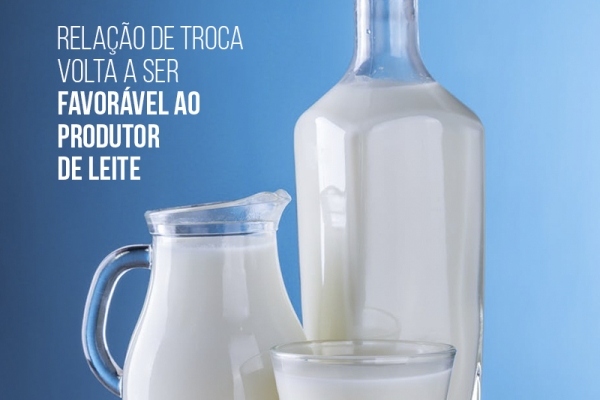 Relação de troca volta a ser favorável ao produtor de leite