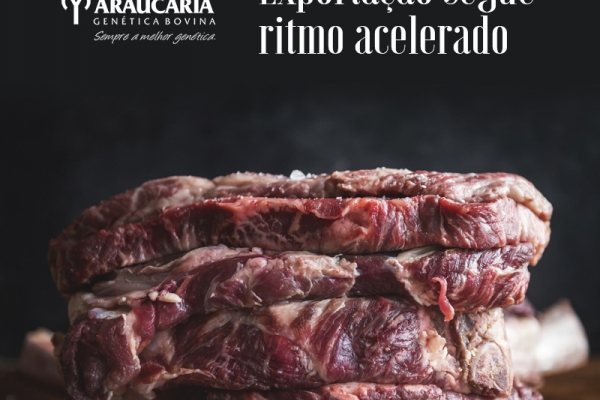 BOI/CEPEA: exportações de carne seguem em ritmo acelerado