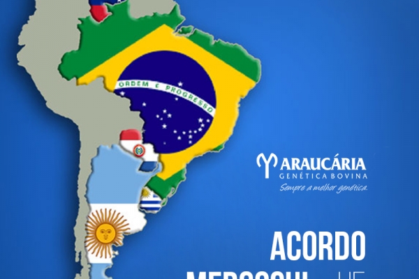 Acordo Mercosul-UE prevê eliminação de tarifas para diversos produtos agrícolas do Brasil