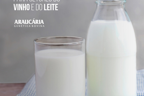  Após acordo, governo prepara medidas compensatórias para setores do vinho e do leite