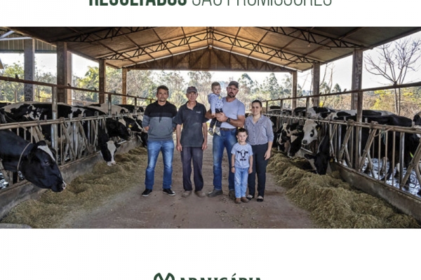 Com a profissionalização, resultados são promissores