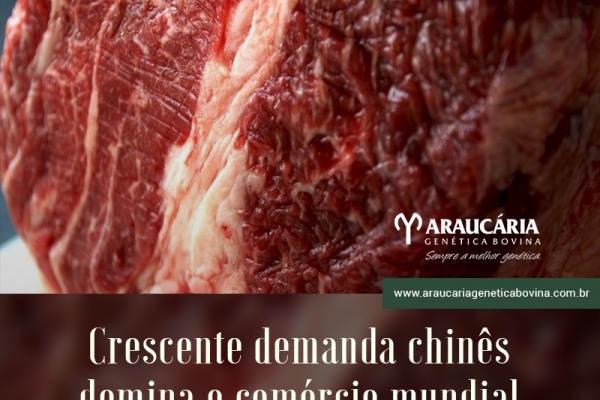 Crescente demanda chinesa domina o comércio mundial de carne bovina: Peel
