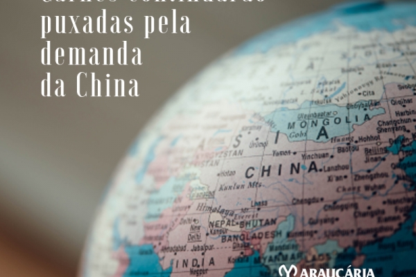  Mercado do boi em 2020 deverá ser tão forte quanto o final de 2019, prevê Rabobank Na Reuters: China impulsiona exportação e produção de carnes do Brasil em 2020, diz Rabobank