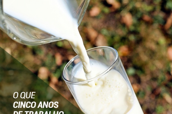 O que cinco anos de trabalho podem fazer