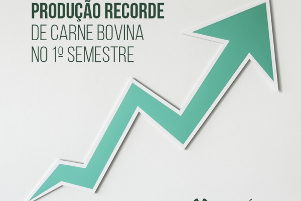 MT registra produção recorde de carne bovina no 1º semestre
