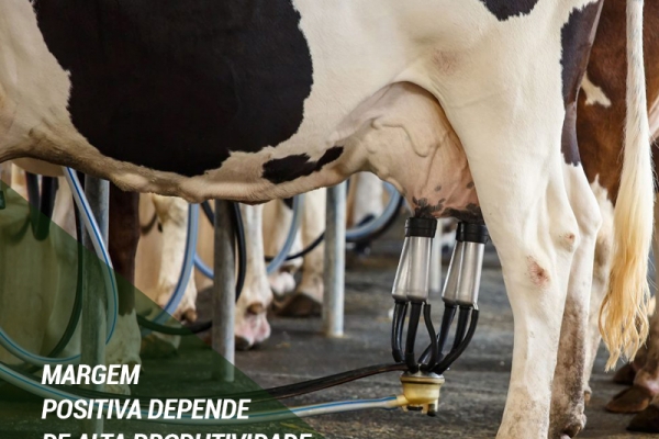 Margem positiva depende de alta produtividade e controle de custos