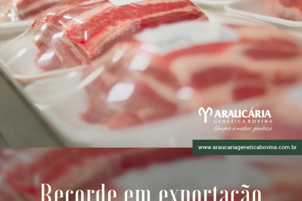Abiec: exportação de carne bovina bate recorde de 1,847 mi de toneladas em 2019