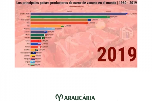  Vídeo mostra os principais produtores de carne bovina do mundo de 1960 a 2019