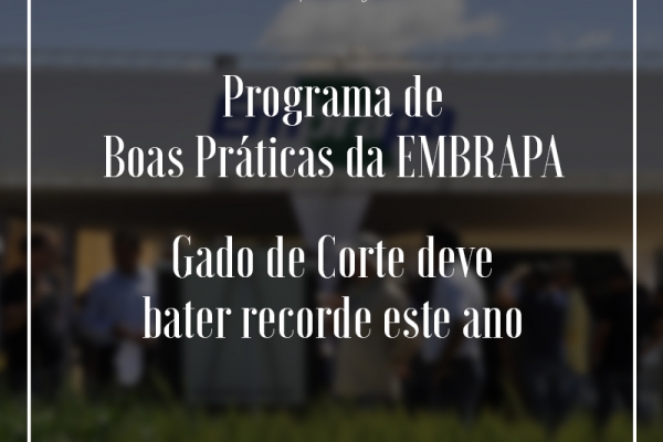 Programa de Boas Práticas da EMBRAPA Gado de Corte deve bater recorde este ano 