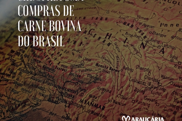 China retoma compras de carne bovina do Brasil a nível elevado e já impulsiona arroba