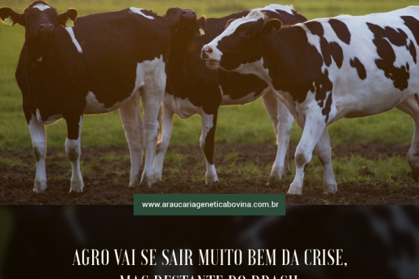 Agro vai se sair muito bem da crise; mas restante do Brasil mergulhará em recessão