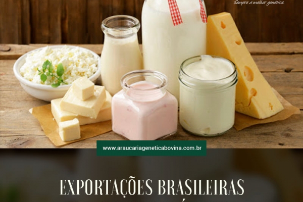 Leite: Dólar recorde volta a aquecer negócios externos