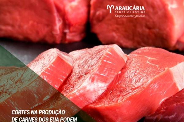  Cortes na produção de carnes dos EUA podem favorecer vendas do Brasil à China