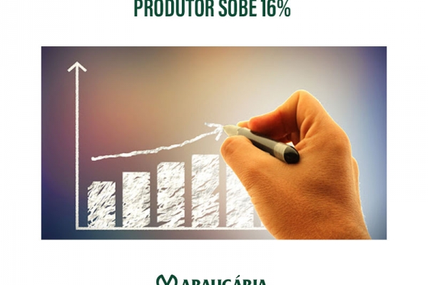  Leite: Preço ao produtor sobe 16% em julho e atinge recorde para o mês