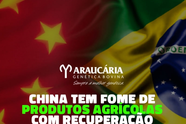 China tem fome de produtos agrícolas com recuperação da demanda