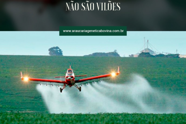 Comida assassina?, indaga Xico Graziano”  Uma lição para a Anitta: Agrotóxicos não são vilões