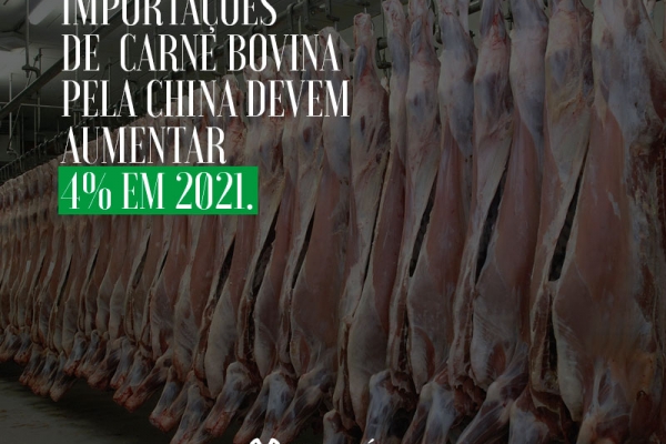 Importações de carne bovina pela China devem aumentar 4% em 2021, aponta USDA