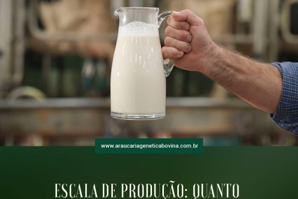 Escala de produção: quanto devo produzir de leite?