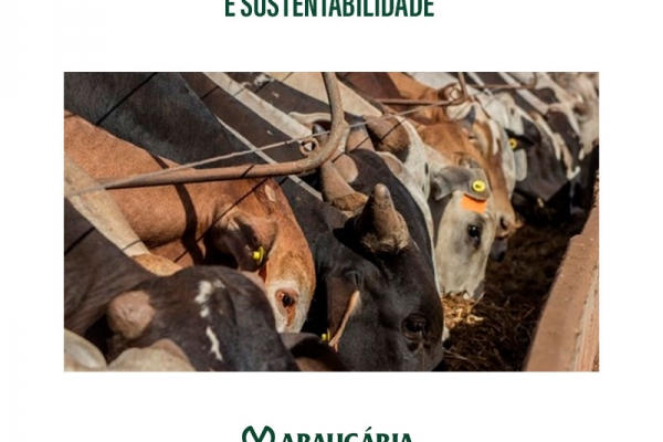 Confinamento: produtividade e sustentabilidade