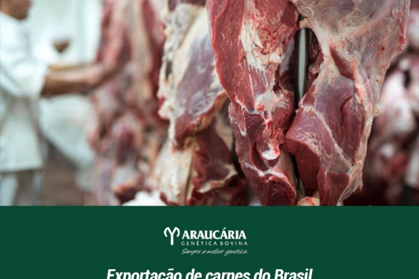  Exportação de carnes do Brasil deve ter recorde em 2021 com impulso chinês, diz Rabobank