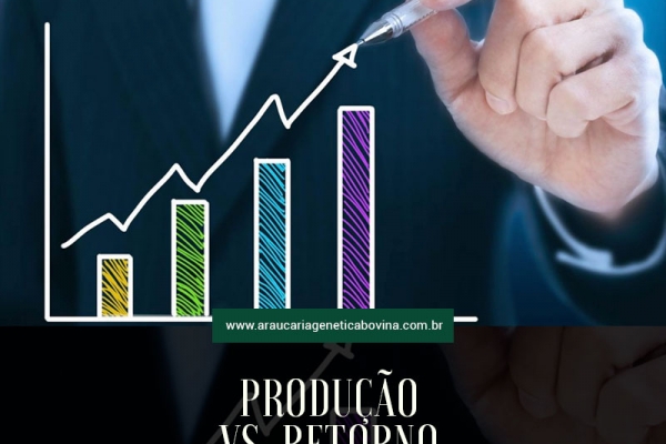 Reprodução Vs Retorno Econômico