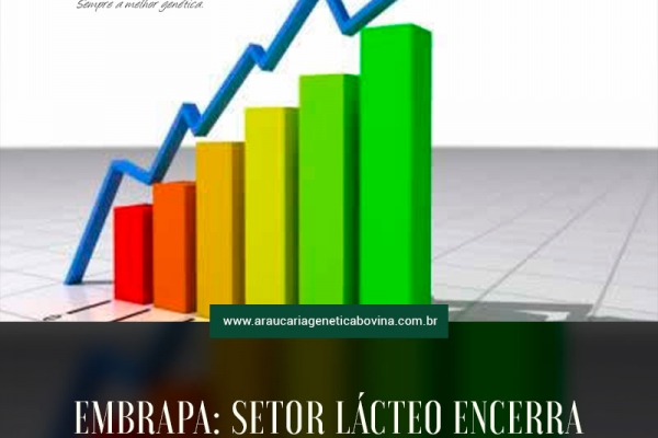 Embrapa: Setor lácteo encerra 2020 com balanço positivo